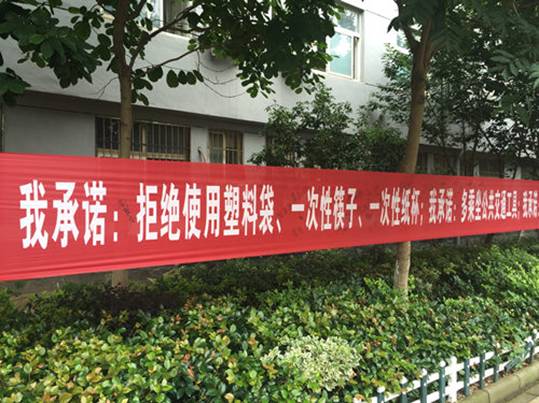 IMG_4255_����